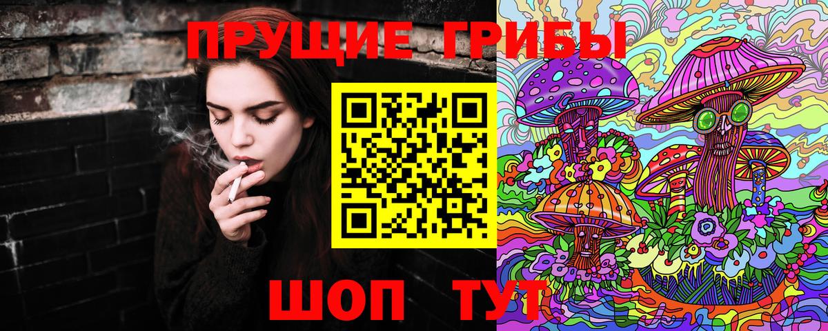 Галлюциногенные грибы GOLDEN TEACHER Корсаков